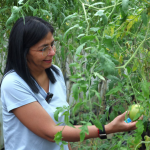 Centros agrícolas impulsan producción no petrolera