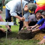 Paso a paso para seguir construyendo una sociedad verde