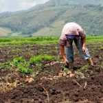 CEPAL: Venezuela encabeza crecimiento económico de América Latina y el Caribe