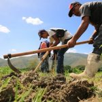 Una Venezuela que produce