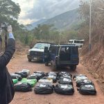 CICPC incauta más de 500 kg de drogas tras persecución en el estado Táchira