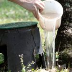 Presidenta (E) Delcy Rodríguez instruye eliminar criaderos de zancudos