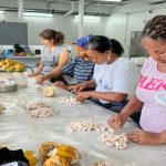 Cenidic impulsa producción de cacao en Miranda