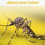 Inmunización y prevención: Claves para combatir la fiebre amarilla en Venezuela