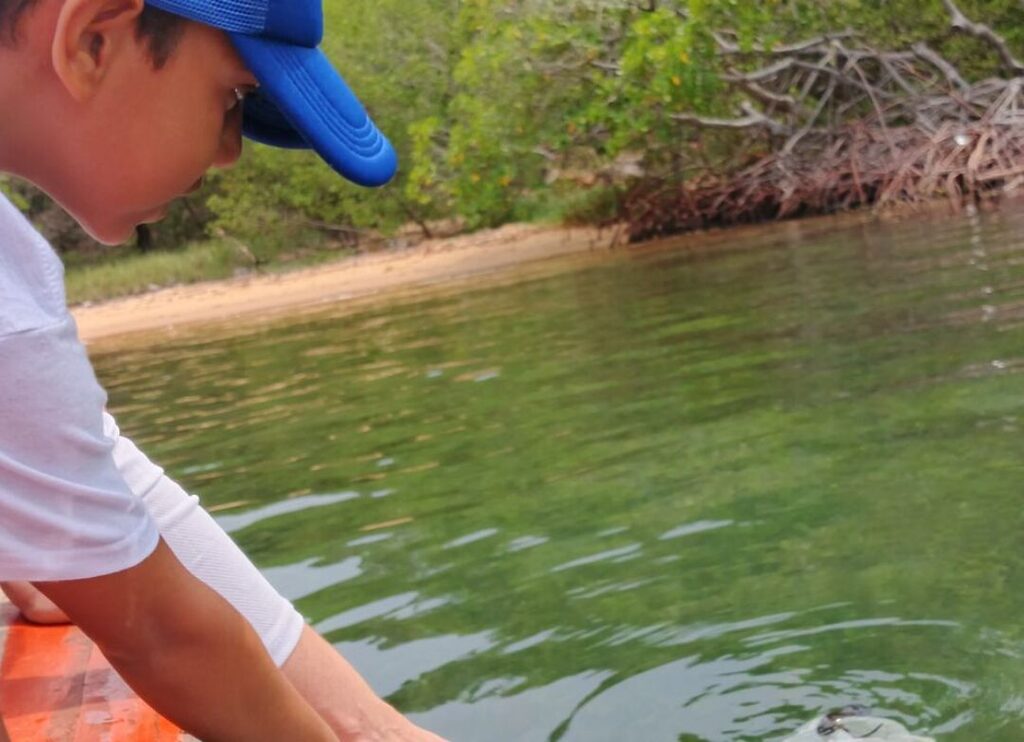 Ministerio del Poder Popular para Ciencia y Tecnología (Mincyt), a través de la Fundación Instituto de Estudios Avanzados (IDEA), ejecutó la liberación de 250 caballitos de mar en el Parque Nacional Mochima con motivo del Día Mundial de las Playas. La jornada contó con la participación de los ministerios de Ecosocialismo (Minec), Turismo (MinTurismo), Atención de las Aguas (MinAguas), y Pesca y Acuicultura (MinPesca), además del acompañamiento de los niños y jóvenes del Programa Nacional Semilleros Científicos en la preservación del ecosistema marino.