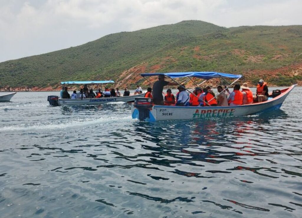 Ministerio del Poder Popular para Ciencia y Tecnología (Mincyt), a través de la Fundación Instituto de Estudios Avanzados (IDEA), ejecutó la liberación de 250 caballitos de mar en el Parque Nacional Mochima con motivo del Día Mundial de las Playas. La jornada contó con la participación de los ministerios de Ecosocialismo (Minec), Turismo (MinTurismo), Atención de las Aguas (MinAguas), y Pesca y Acuicultura (MinPesca), además del acompañamiento de los niños y jóvenes del Programa Nacional Semilleros Científicos en la preservación del ecosistema marino.