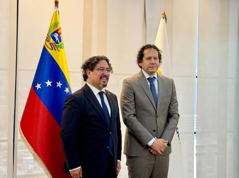 Venezuela y Türkiye revisan acuerdos bilaterales