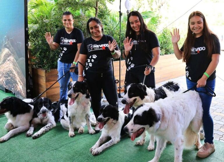 Presidenta Delcy Rodríguez destaca la importancia de la vacunación animal contra la rabia