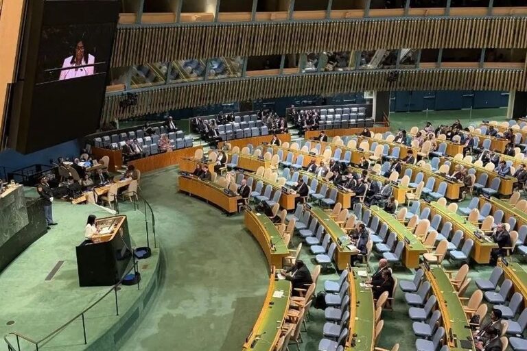 Asamblea General de la ONU