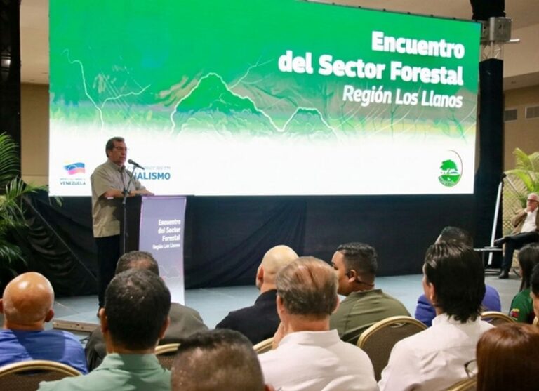 encuentro de producción forestal