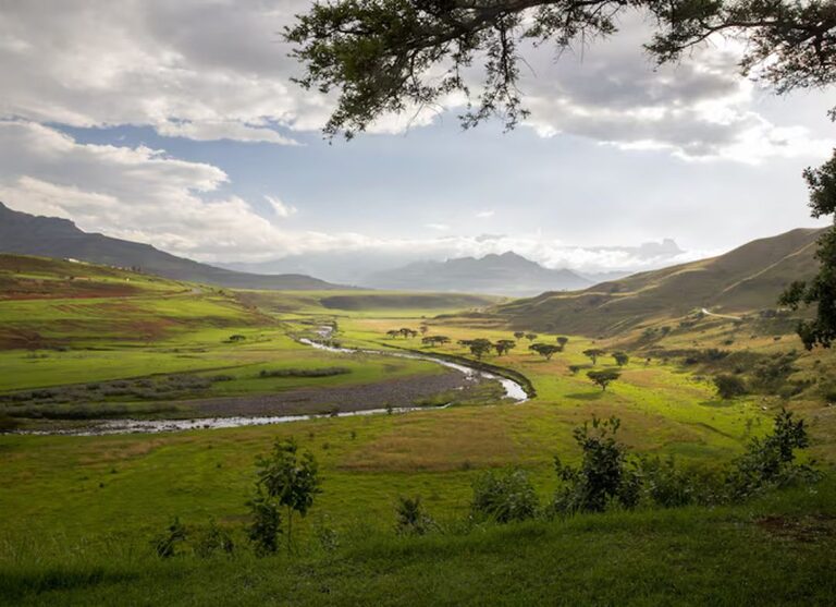 Venezuela expone modelo forestal ecosocialista e innovación científica en la FAO