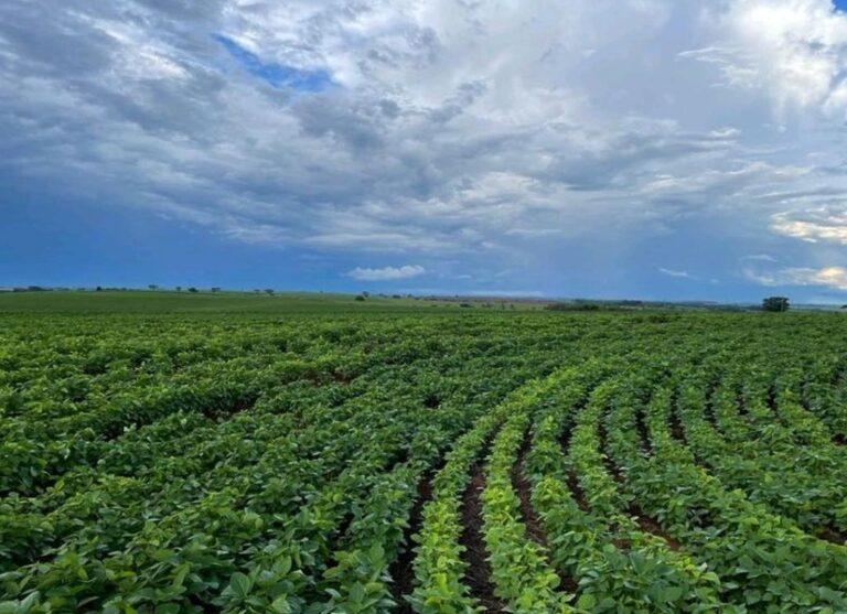 Mincyt y UCV firman alianza estratégica para la agricultura ​