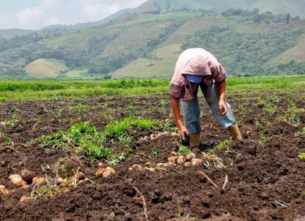 Mincyt y UCV firman alianza estratégica para la agricultura 