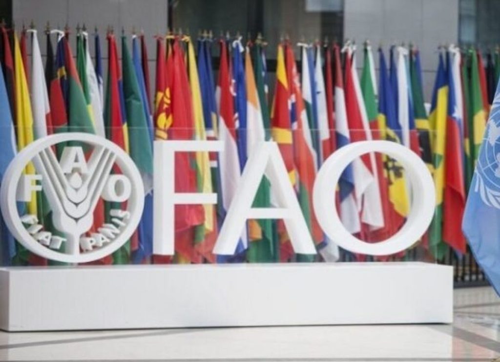 Venezuela y la FAO impulsan soberanía alimentaria