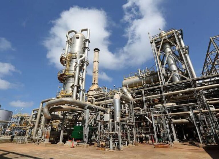 Petroquímica se perfila como la tercera fuente de ingreso de divisas para el país